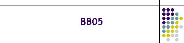 BB05