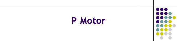 P Motor
